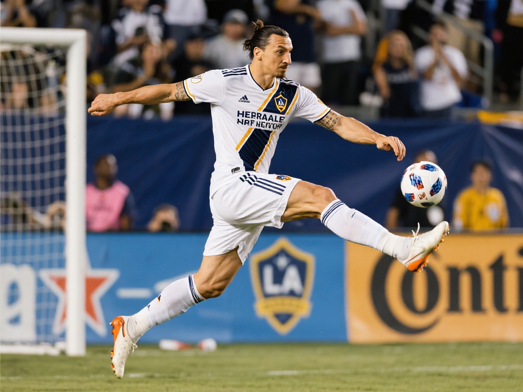 但究竟哪一 但究竟哪一